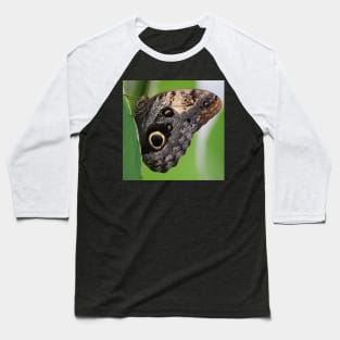 Schmetterling Baseball T-Shirt